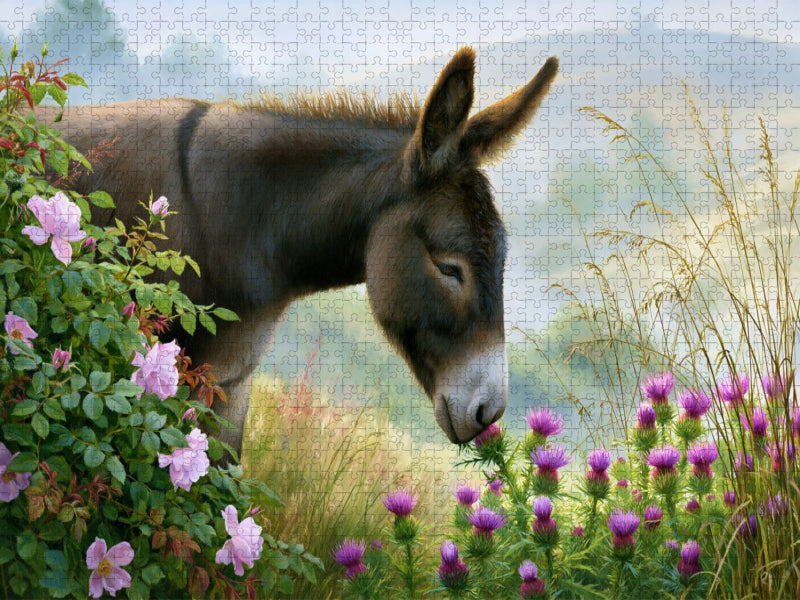 Esel frisst Disteln. - CALVENDO Foto-Puzzle'