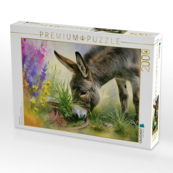Esel frisst Gras - CALVENDO Foto-Puzzle'