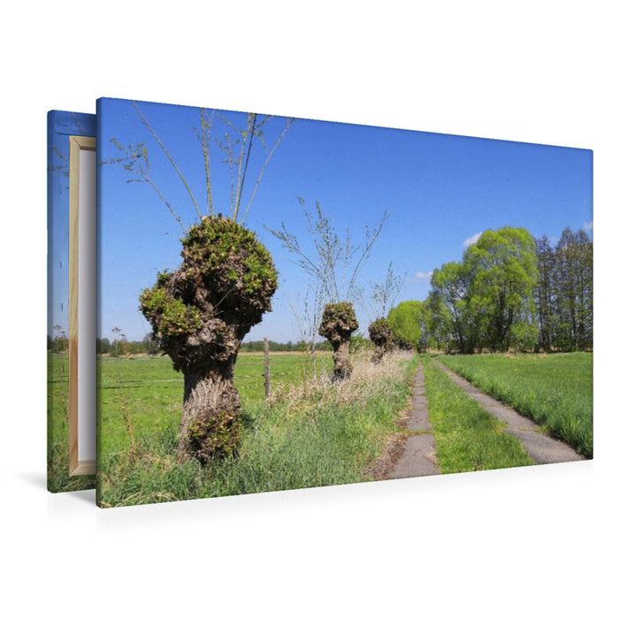 Premium Textil-Leinwand Feldweg in Körzin, ein Dorf in Brandenburg