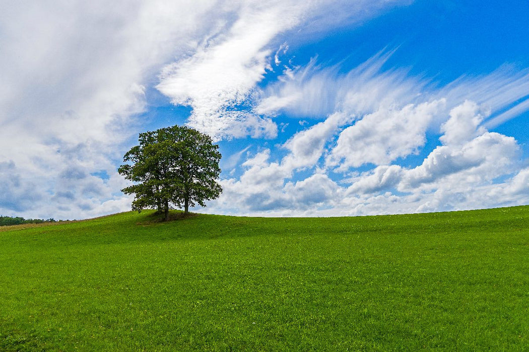 Premium Textil-Leinwand Wiesenlandschaft in der Eifel