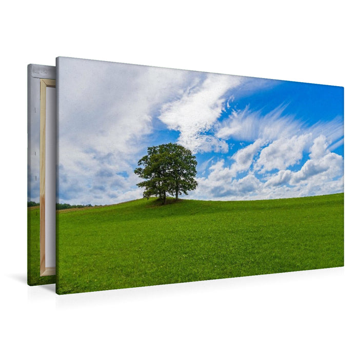 Premium Textil-Leinwand Wiesenlandschaft in der Eifel
