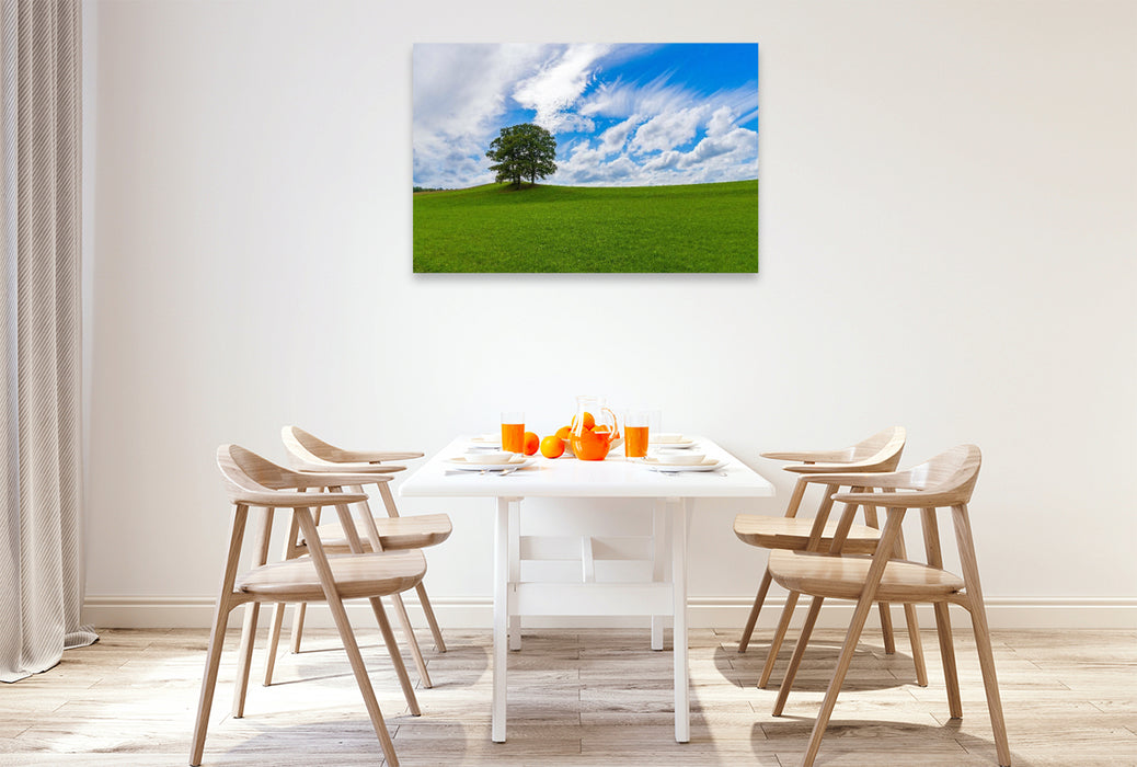 Premium Textil-Leinwand Wiesenlandschaft in der Eifel