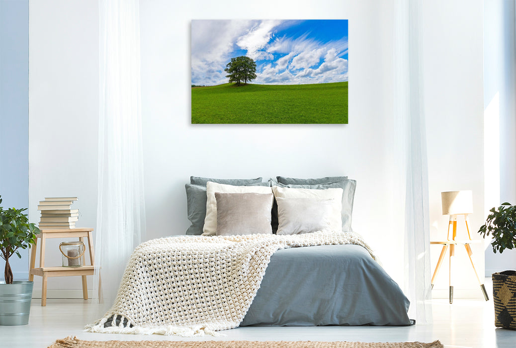 Premium Textil-Leinwand Wiesenlandschaft in der Eifel