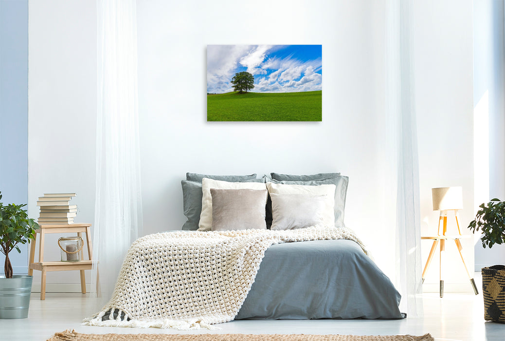 Premium Textil-Leinwand Wiesenlandschaft in der Eifel