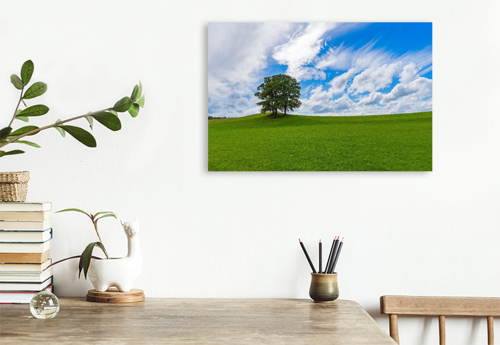 Premium Textil-Leinwand Wiesenlandschaft in der Eifel