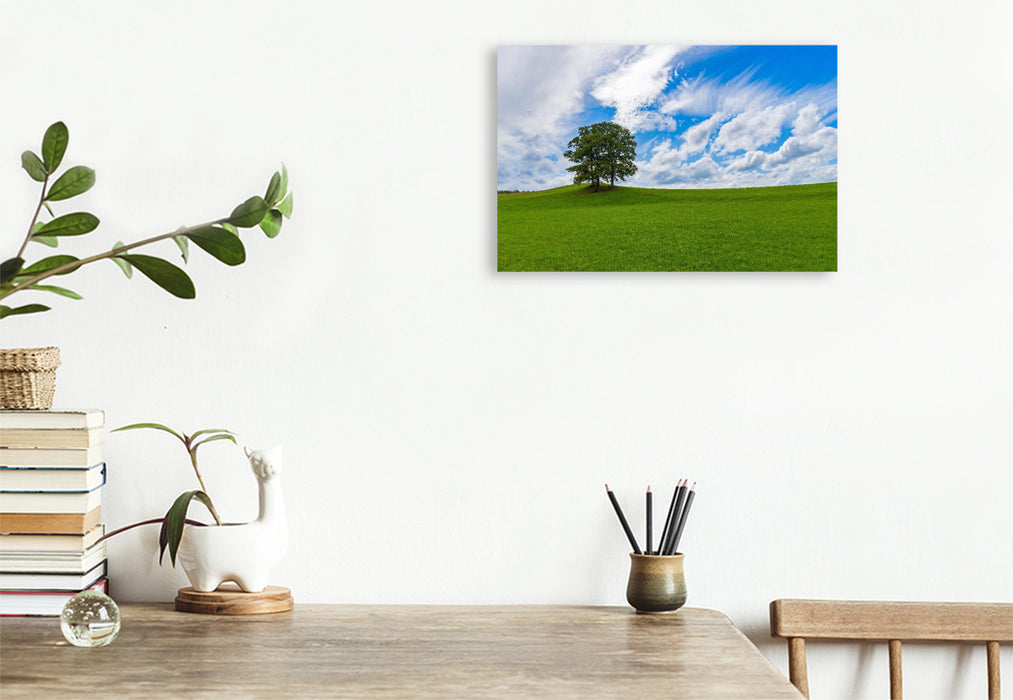 Premium Textil-Leinwand Wiesenlandschaft in der Eifel