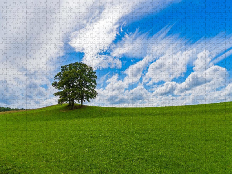 Wiesenlandschaft in der Eifel - CALVENDO Foto-Puzzle'