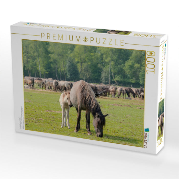 Schutz bei der Mutter - CALVENDO Foto-Puzzle'