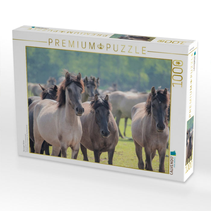 Die jungen Stuten - CALVENDO Foto-Puzzle'