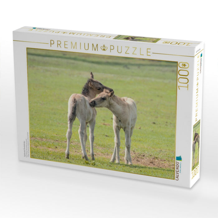 Spielende Pferdekinder - CALVENDO Foto-Puzzle'