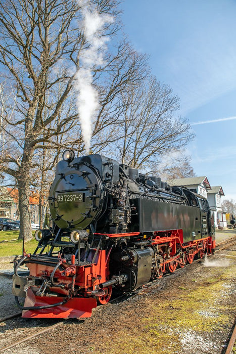 Premium Textil-Leinwand Die Selketalbahn in Hasselfelde