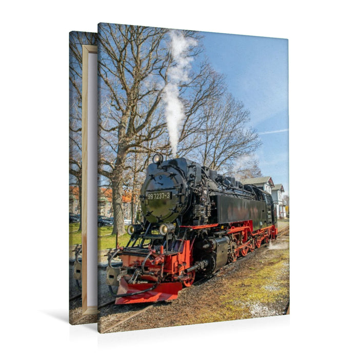 Premium Textil-Leinwand Die Selketalbahn in Hasselfelde
