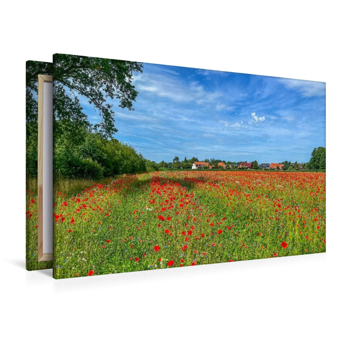 Premium Textil-Leinwand Mohnblumenfeld