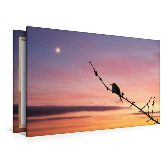 Premium Textil-Leinwand Bienenfresser im Sonnenuntergang