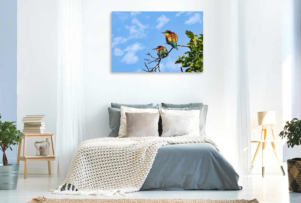 Premium Textil-Leinwand Bienenfresser-Pärchen