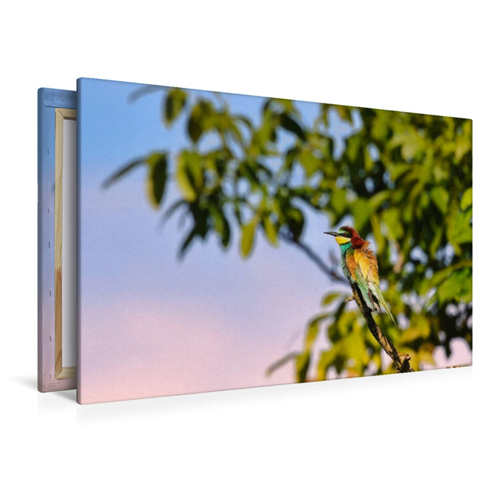 Premium Textil-Leinwand Bienenfresser im Baum