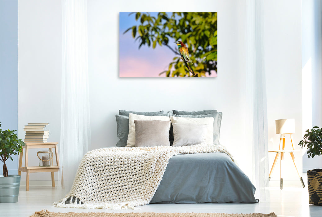 Premium Textil-Leinwand Bienenfresser im Baum