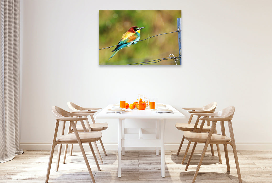 Premium Textil-Leinwand Bunter Bienenfresser