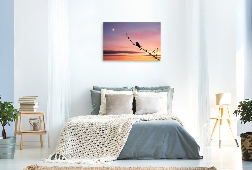 Premium Textil-Leinwand Bienenfresser im Sonnenuntergang