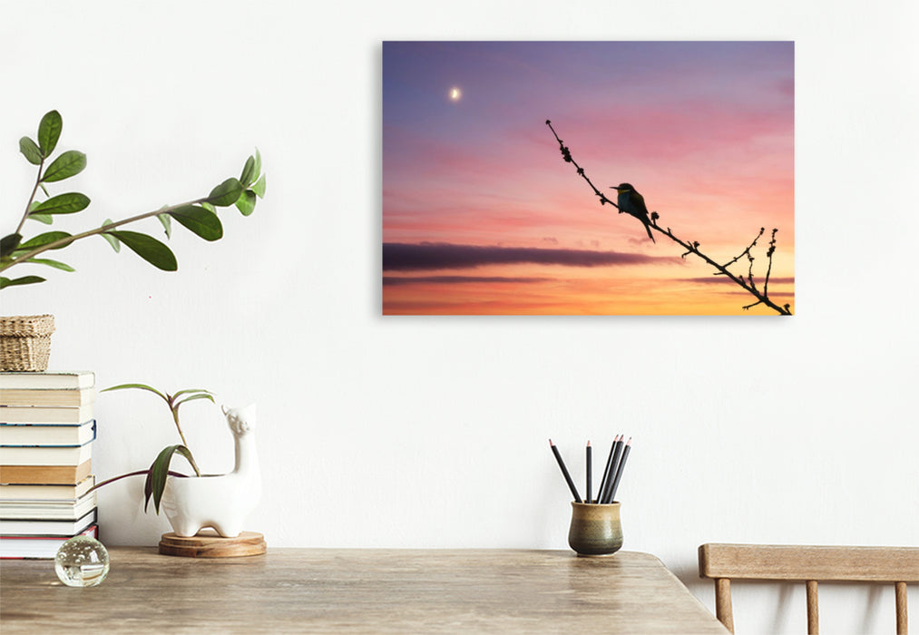 Premium Textil-Leinwand Bienenfresser im Sonnenuntergang