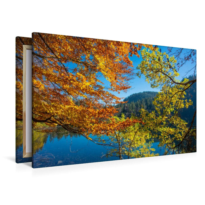 Premium Textil-Leinwand Herbstzauber im Schwarzwald