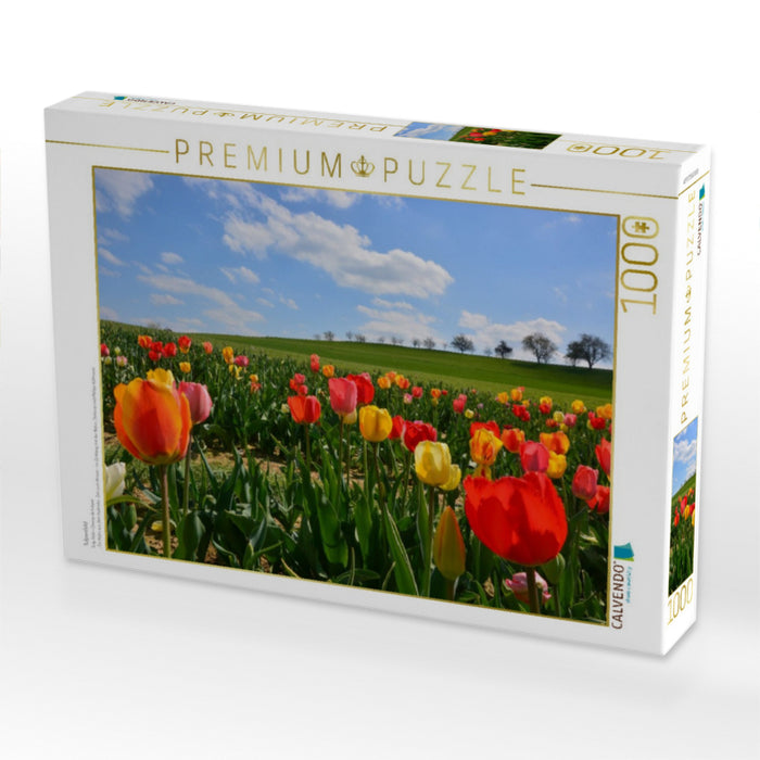 Tulpenfeld - CALVENDO Foto-Puzzle'