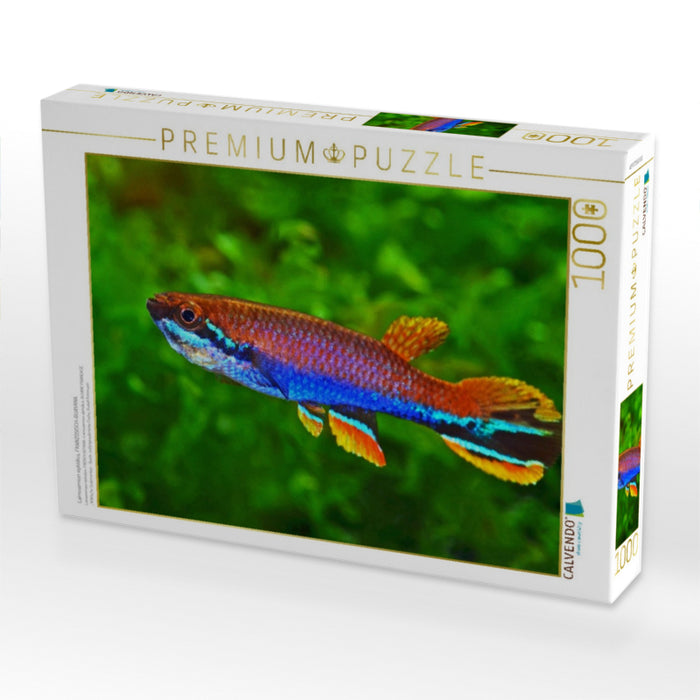 Laimosemion xiphidius, FRANZÖSISCH-GUAYANA - CALVENDO Foto-Puzzle'