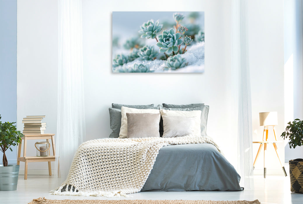 Premium Textil-Leinwand Gefrorene Schönheit in sanften Pastelltönen