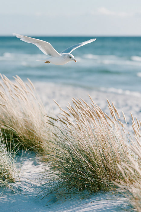 Premium Textil-Leinwand Zwischen Himmel und Sand beginnt die Ruhe