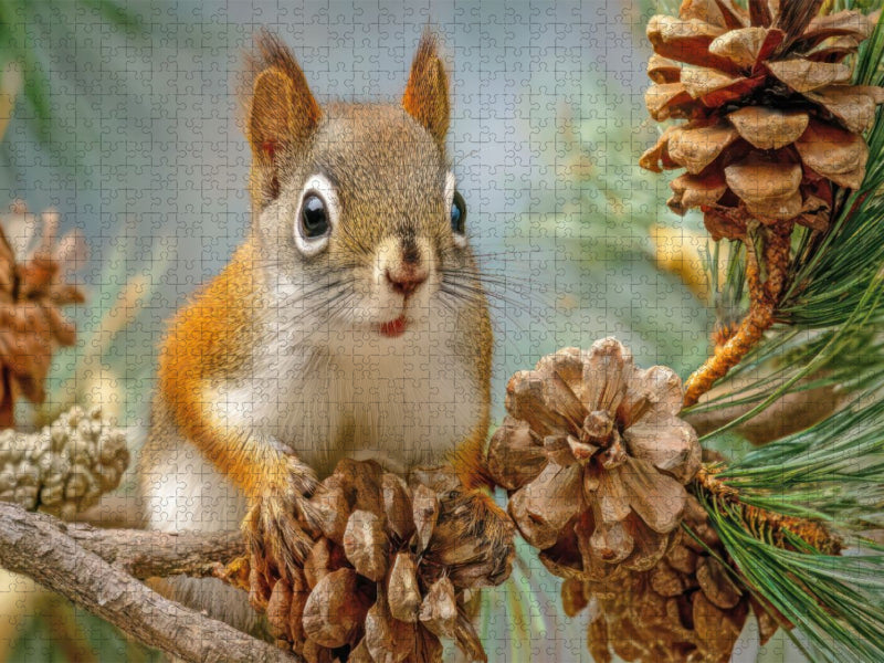 Eichhörnchenliebe - CALVENDO Foto-Puzzle'