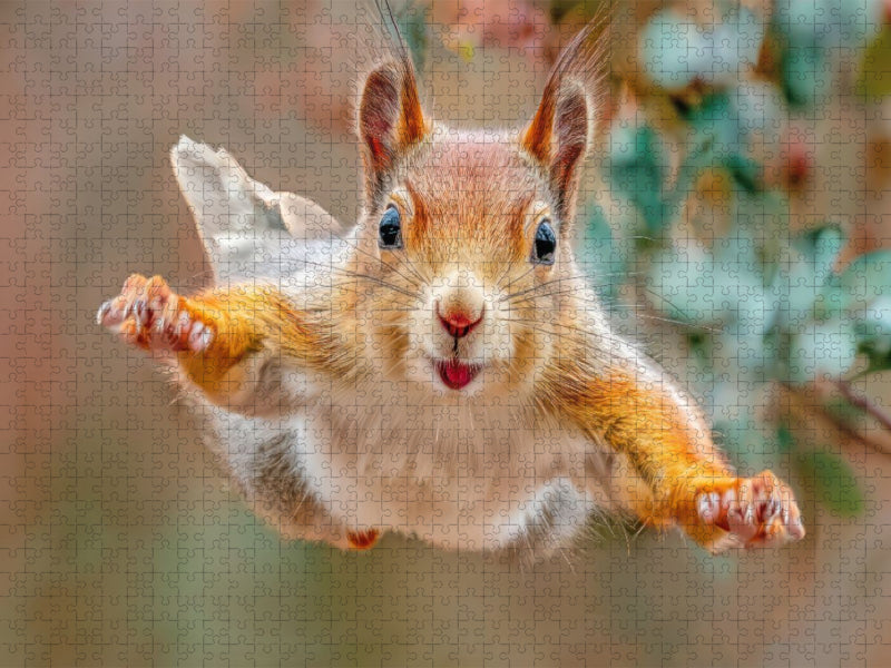 Eichhörnchenliebe - CALVENDO Foto-Puzzle'