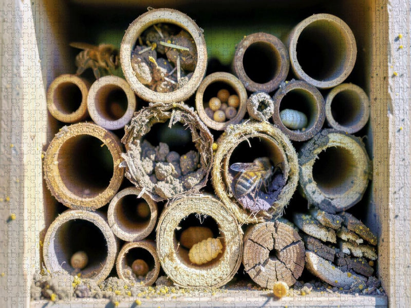 Naturschutz beginnt vor der Haustür. - CALVENDO Foto-Puzzle'