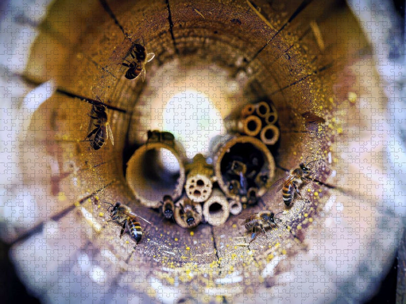 Im Schutz des Holzes — entsteht neues Leben. - CALVENDO Foto-Puzzle'
