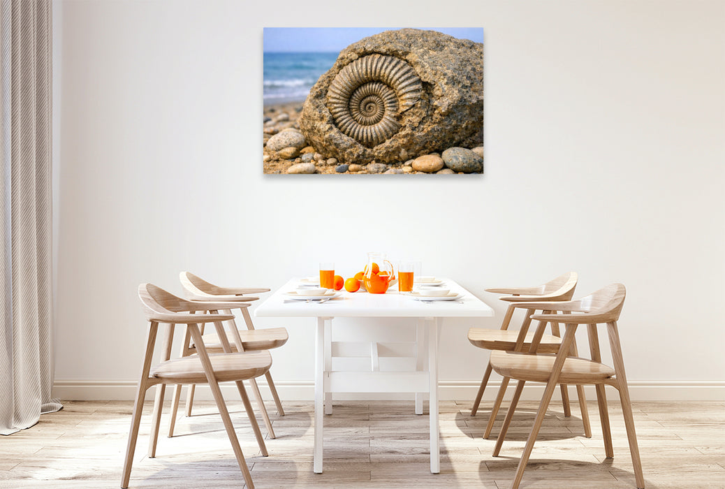 Premium Textil-Leinwand Ammonit im Stein am Strand