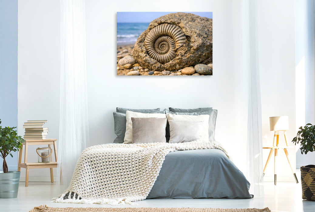 Premium Textil-Leinwand Ammonit im Stein am Strand