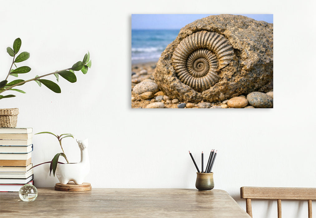 Premium Textil-Leinwand Ammonit im Stein am Strand