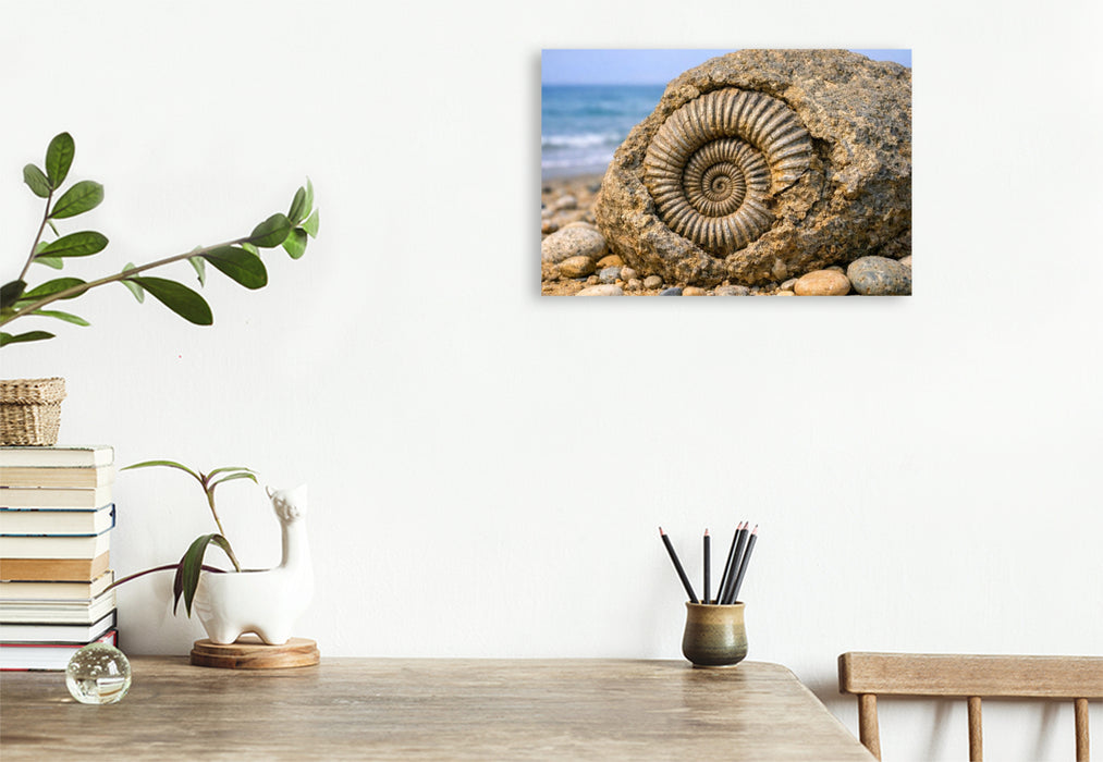 Premium Textil-Leinwand Ammonit im Stein am Strand