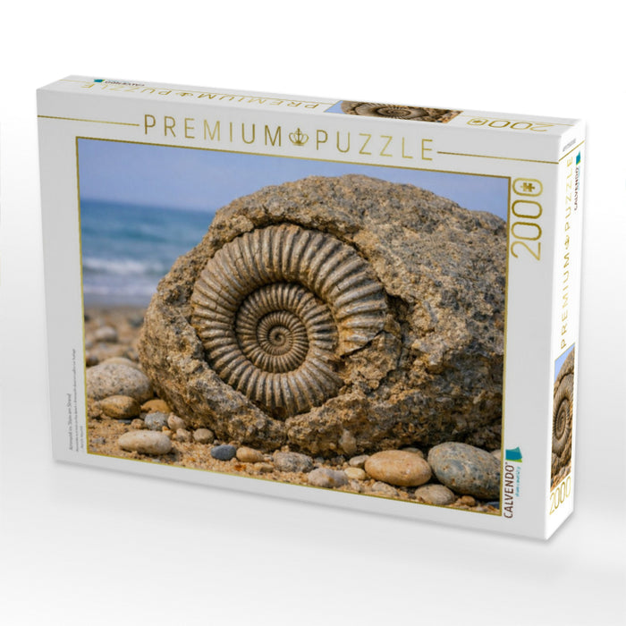 Ammonit im Stein am Strand - CALVENDO Foto-Puzzle'