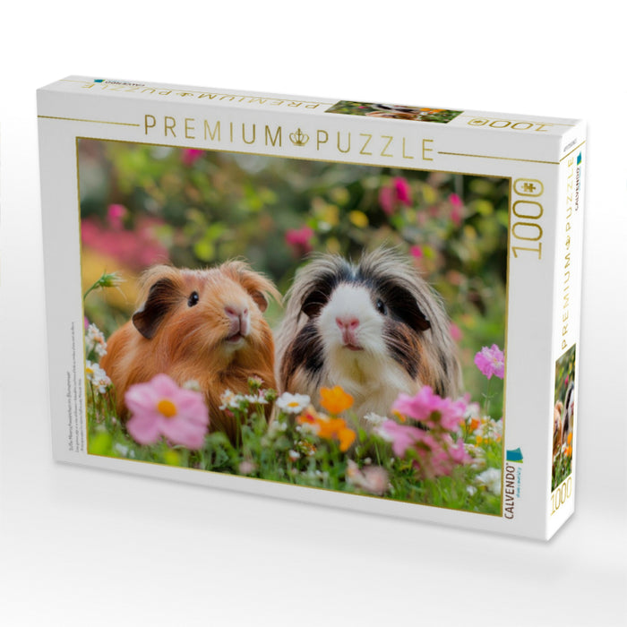 Süße Meerschweinchen im Blumenmeer - CALVENDO Foto-Puzzle'