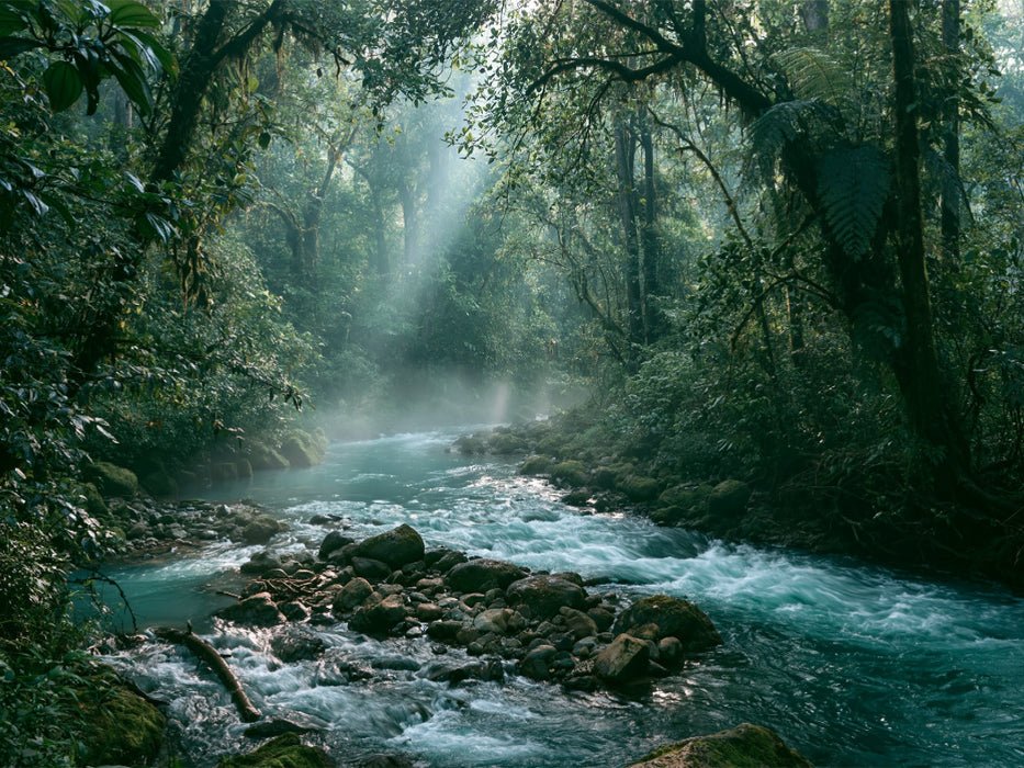 Costa Rica Regenwald – Mystischer Fluss - CALVENDO Foto-Puzzle'