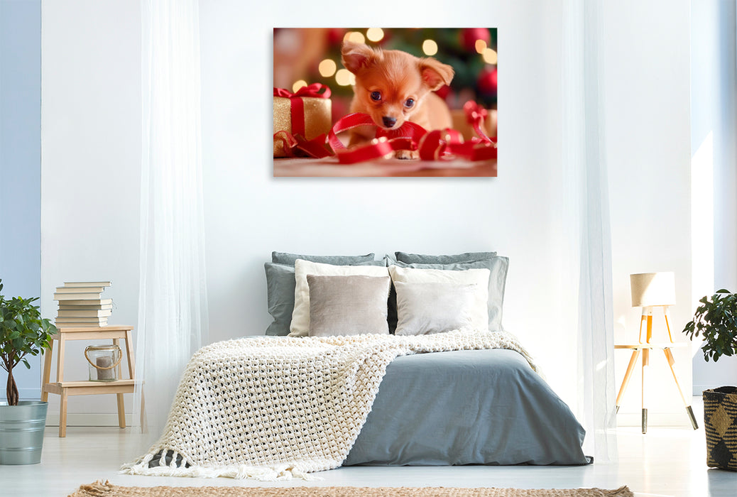 Premium Textil-Leinwand Weihnachtlicher Chihuahua Zauber auf vier Pfoten