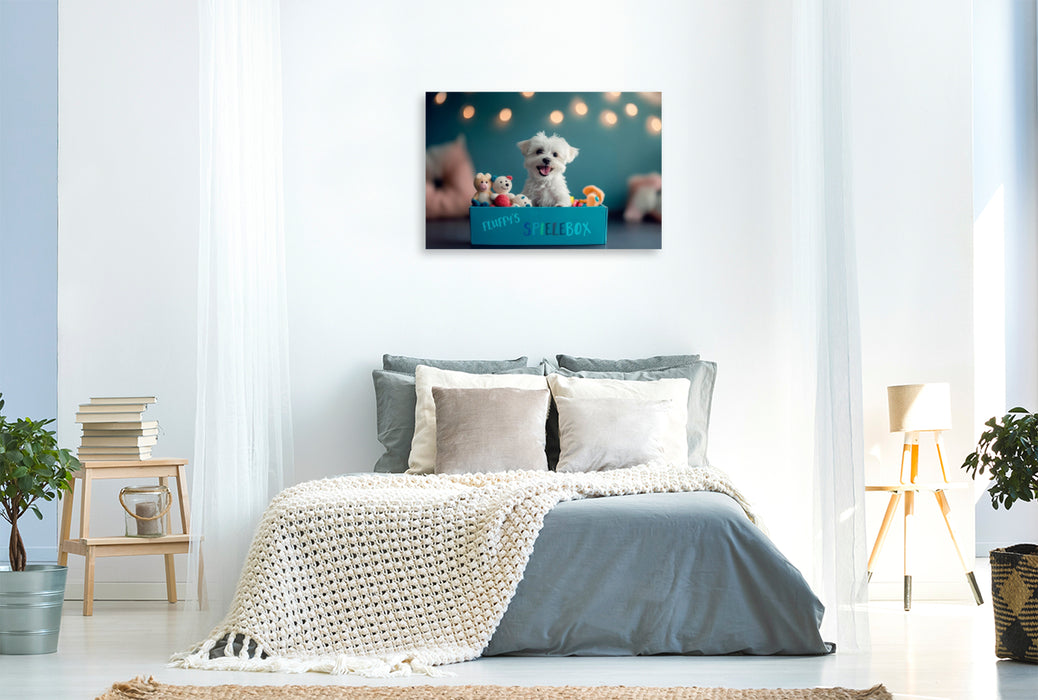 Premium Textil-Leinwand Malteserwelpe in der Spielebox