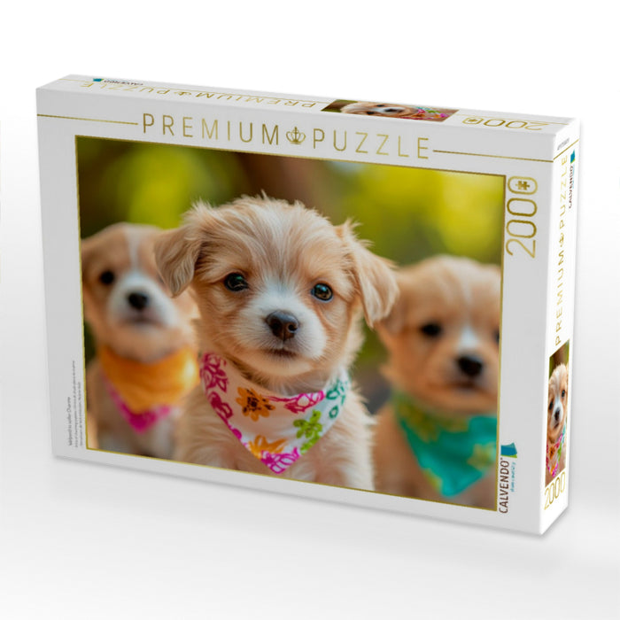 Welpentrio voller Charme - CALVENDO Foto-Puzzle'