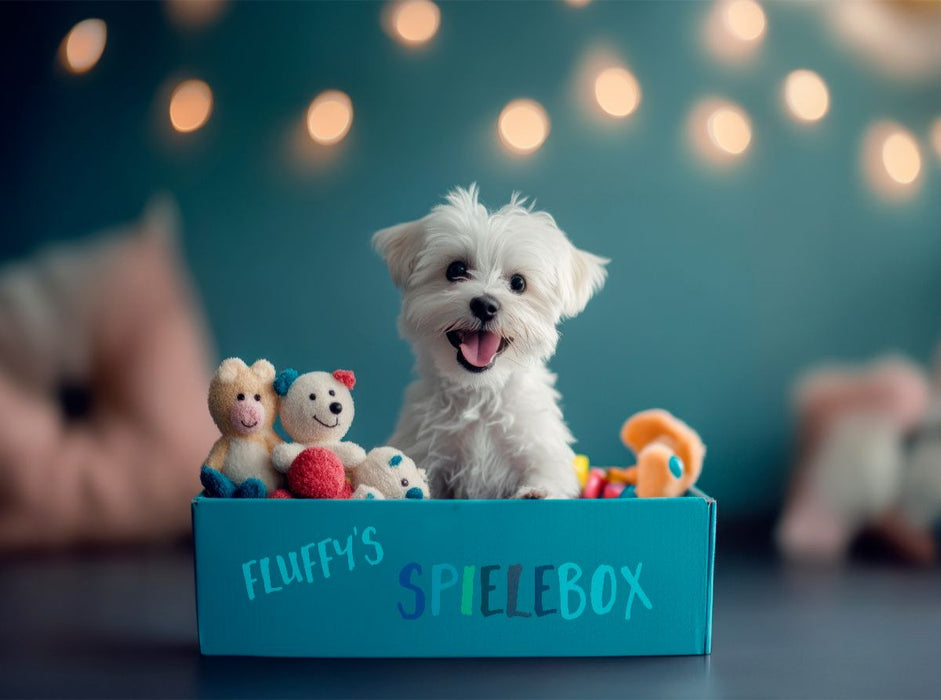 Malteserwelpe in der Spielebox - CALVENDO Foto-Puzzle'