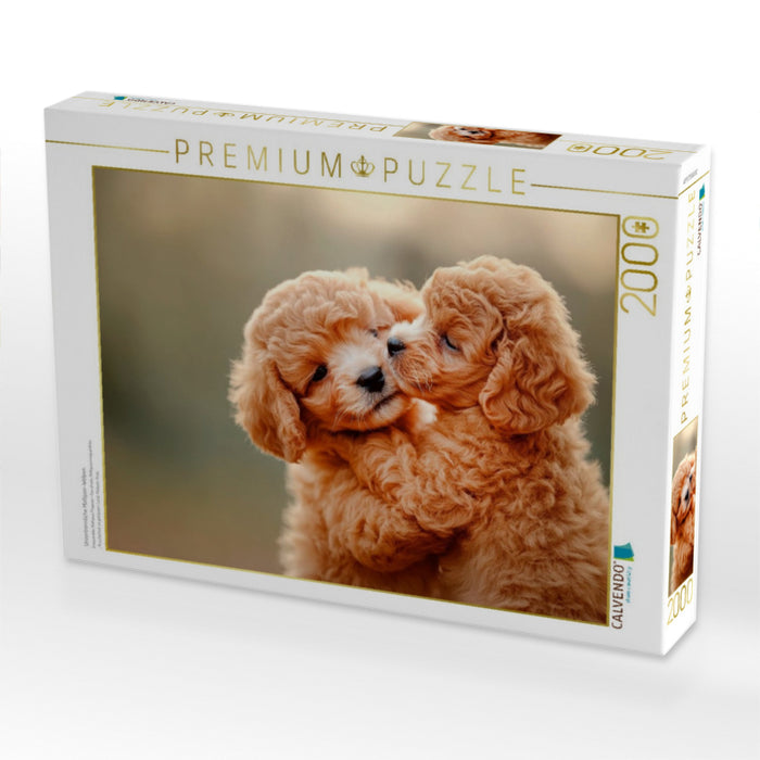 Unzertrennliche Maltipoo-Welpen - CALVENDO Foto-Puzzle'