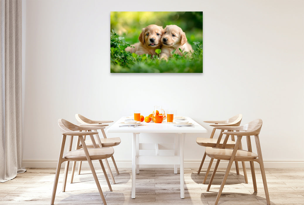 Premium Textil-Leinwand Golden-Retriever-Freunde