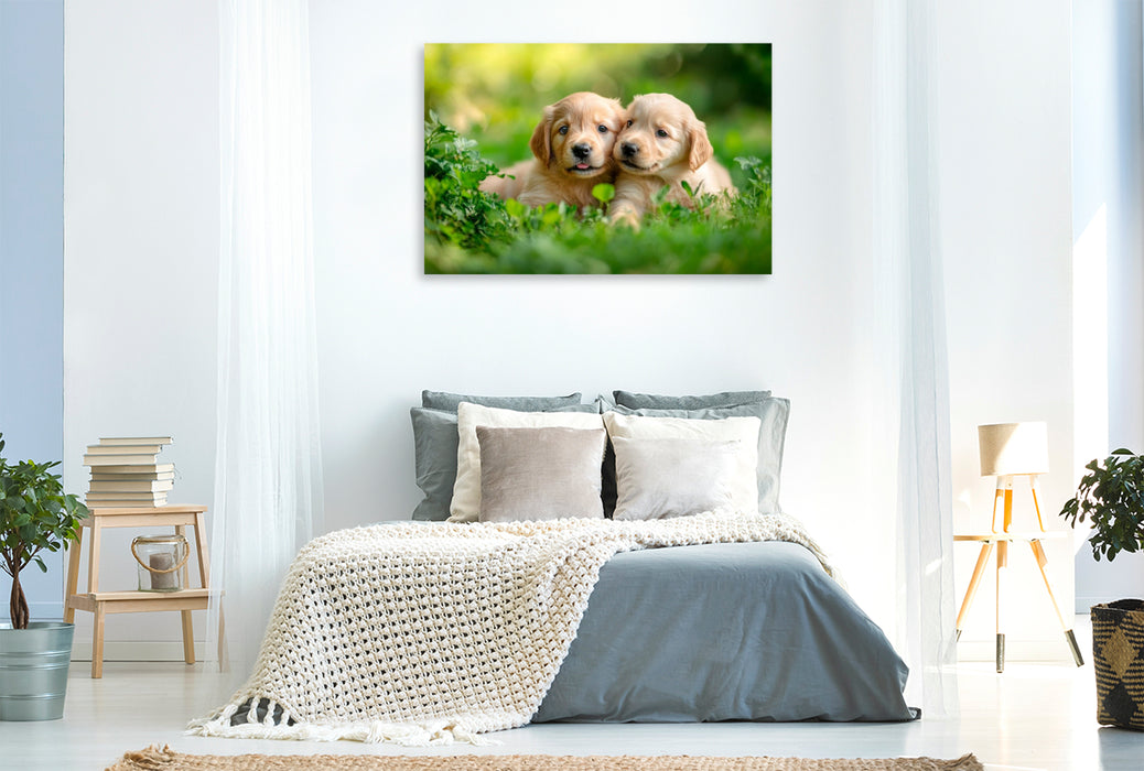 Premium Textil-Leinwand Golden-Retriever-Freunde