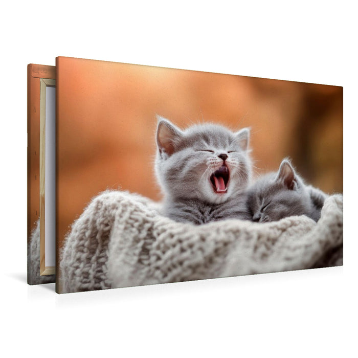 Premium Textil-Leinwand Kleine Auszeit