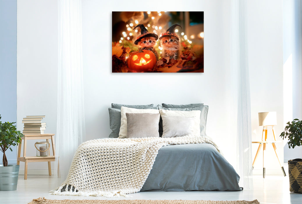 Premium Textil-Leinwand Katzenkinder im Halloweenfieber