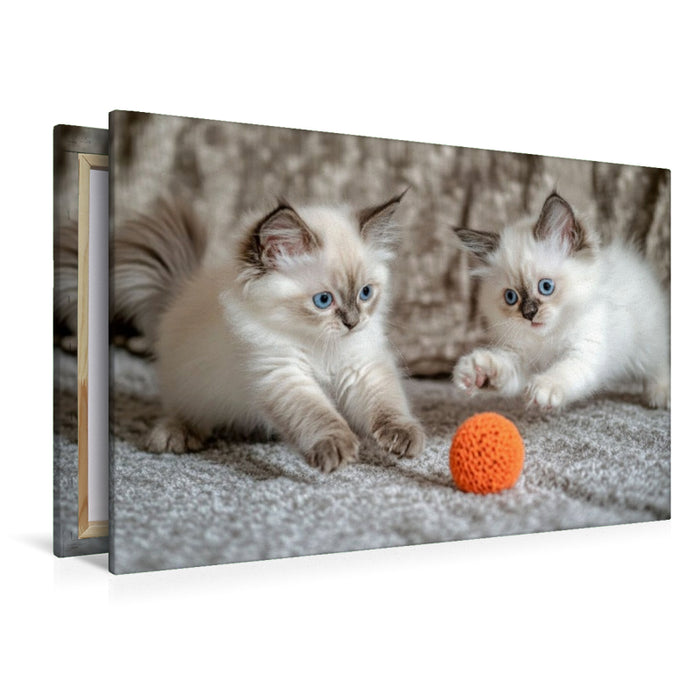 Premium Textil-Leinwand Spieltrieb pur